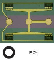 奥林巴斯显微镜