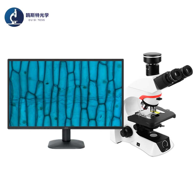 科研级生物显微镜OST-BD6800