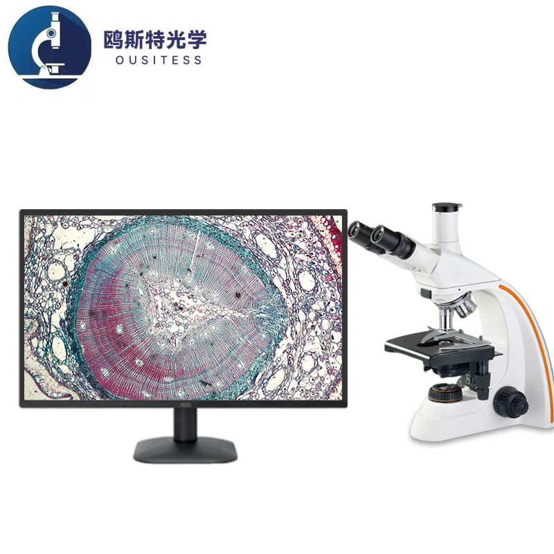 生物显微镜OST-BD2800