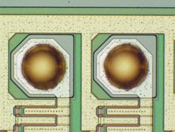 奥林巴斯显微镜