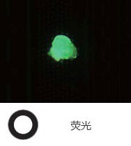 奥林巴斯显微镜