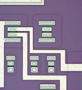 奥林巴斯显微镜