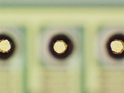 奥林巴斯显微镜