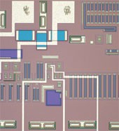 奥林巴斯显微镜