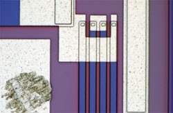 奥林巴斯显微镜