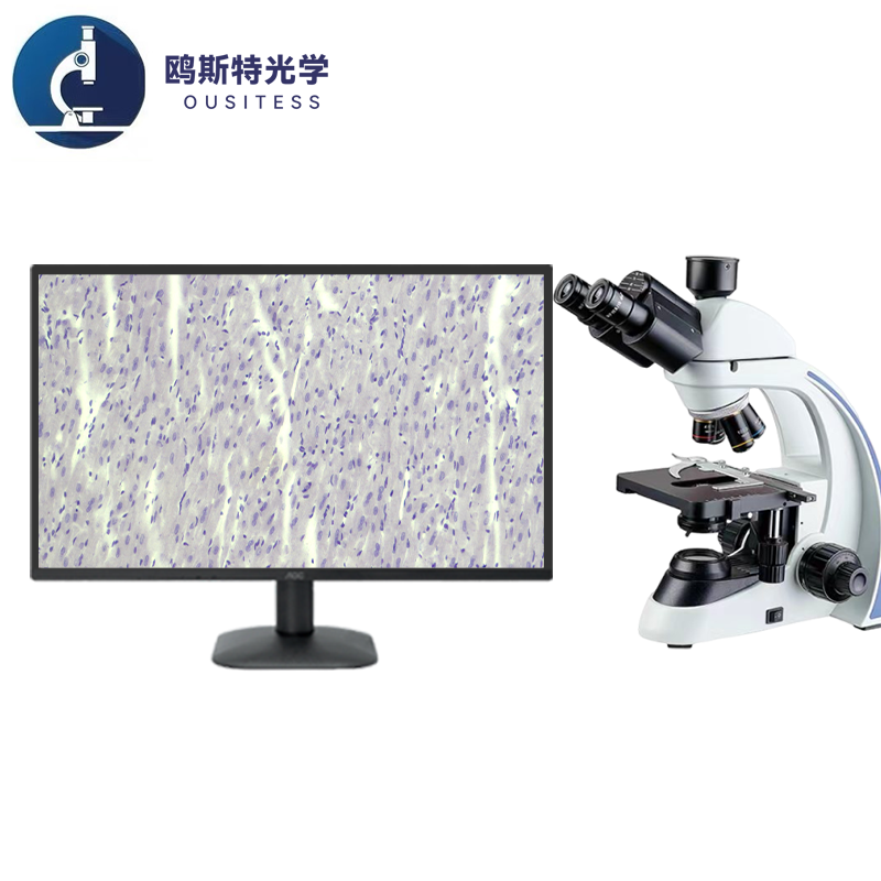 生物显微镜OST-BD80