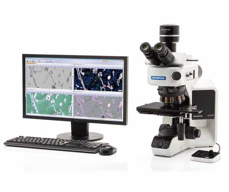 奥利巴斯BX53M金相显微镜